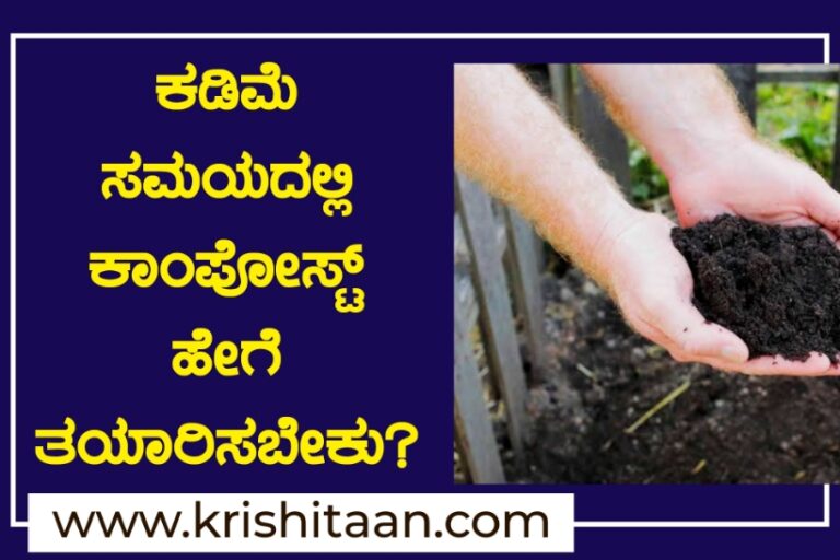 ಕಡಿಮೆ ಸಮಯದಲ್ಲಿ ಕಾಂಪೋಸ್ಟ್ ಹೇಗೆ ತಯಾರಿಸಬೇಕು?