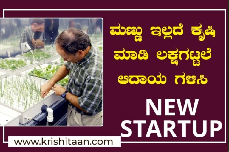 ಮಣ್ಣು ಇಲ್ಲದೆ ಕೃಷಿ ಮಾಡಿ ಲಕ್ಷಗಟ್ಟಲೆ ಆದಾಯ ಗಳಿಸಿ | New startup