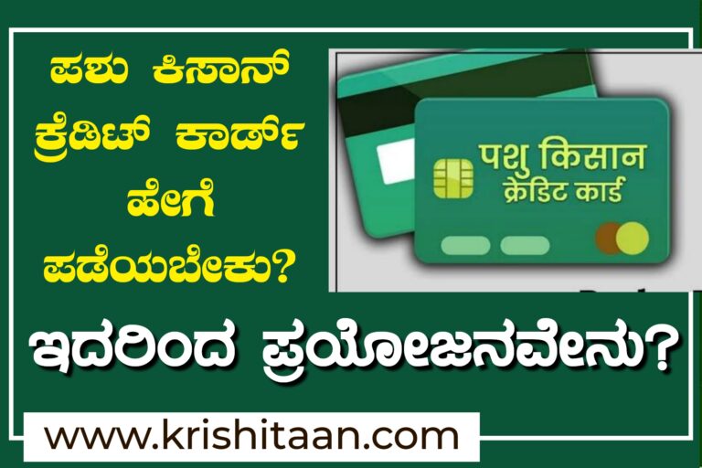 ಪಶು ಕಿಸಾನ್ ಕ್ರೆಡಿಟ್ ಕಾರ್ಡ್  ಹೇಗೆ ಪಡೆಯಬೇಕು? ನಿಮಗೆ ಇದರಿಂದ ಪ್ರಯೋಜನವೇನು?