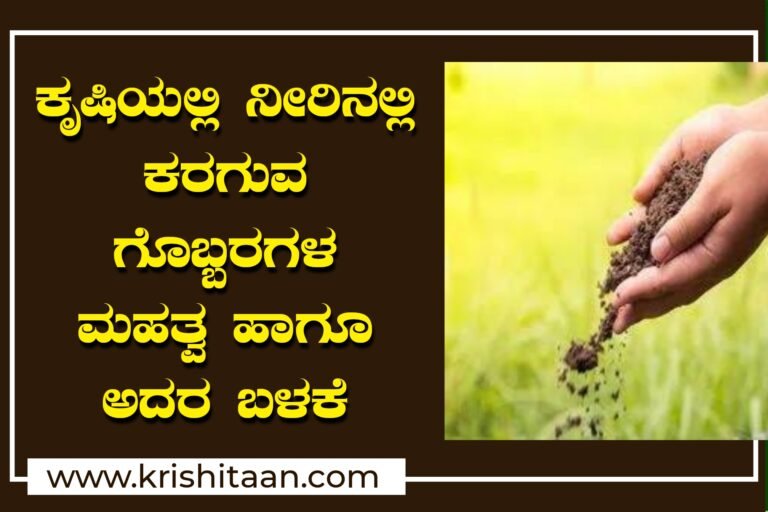ಕೃಷಿಯಲ್ಲಿ ನೀರಿನಲ್ಲಿ ಕರಗುವ ಗೊಬ್ಬರಗಳ ಮಹತ್ವ ಹಾಗೂ ಅದರ ಬಳಕೆ ಹೇಗೆ?
