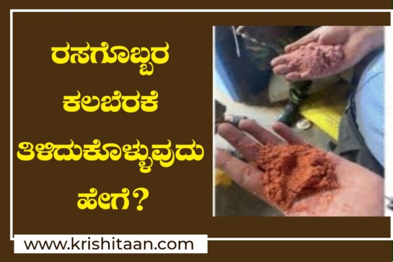 ರಸಗೊಬ್ಬರ ಕಲಬೆರಕೆ ತಿಳಿದುಕೊಳ್ಳುವುದು ಹೇಗೆ?