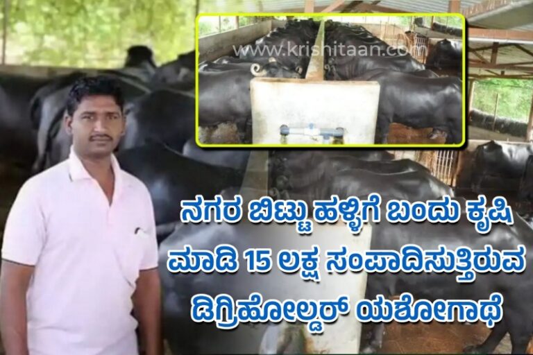 ನಗರ ಬಿಟ್ಟು ಹಳ್ಳಿಗೆ ಬಂದು ಕೃಷಿಯಲ್ಲಿ 15 ಲಕ್ಷ ಸಂಪಾದಿಸುತ್ತಿರುವ ಡಿಗ್ರಿಹೋಲ್ಡರ್: success story