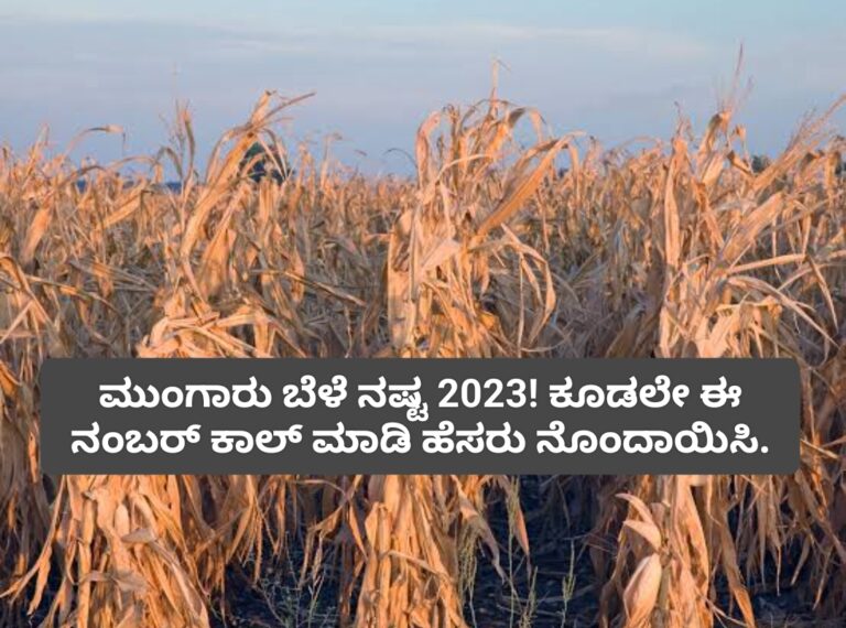 ಮುಂಗಾರು ಬೆಳೆ ನಷ್ಟ! ಈ ಸಂಖ್ಯೆಗೆ ಕರೆ ಈಗಲೇ ಮಾಡಿ ನೋಂದಾಯಿಸಿ