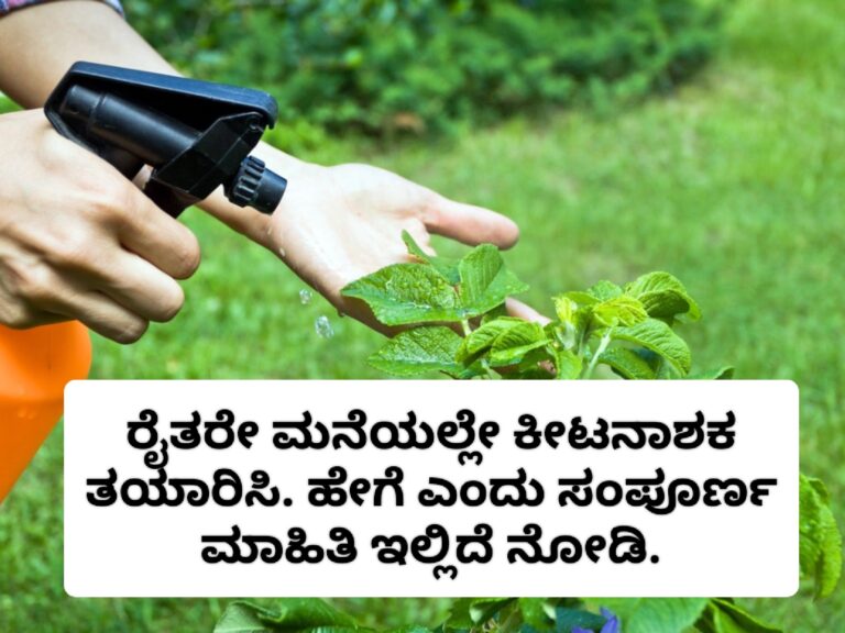 ರೈತರೇ ಮನೆಯಲ್ಲೇ ಕೀಟನಾಶಕ ತಯಾರಿಸಿ. ತಯಾರಿಸುವುದು ಹೇಗೆ ಎಂದು ನೋಡಿ.