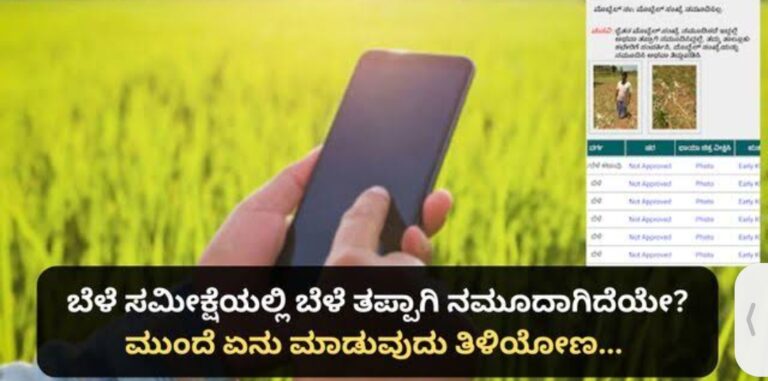 ಬೆಳೆ ಸಮೀಕ್ಷೆ ತಪ್ಪಾಗಿದ್ದರೆ ಏನು ಮಾಡಬೇಕು? ಬೆಳೆ ಸಮೀಕ್ಷೆ ಚೆಕ್ ಮಾಡಿ.