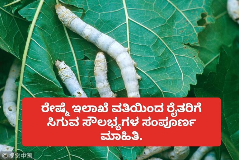 ರೇಷ್ಮೆ ಇಲಾಖೆ ವತಿಯಿಂದ ಸಿಗುವ ಯೋಜನೆಗಳು ಮಾಹಿತಿ.