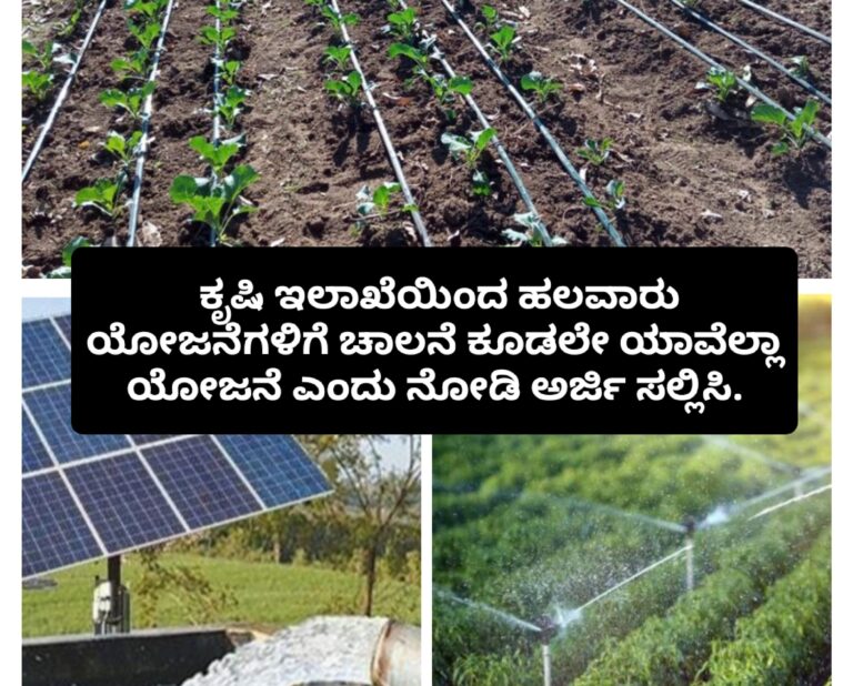 ಕೃಷಿ ಇಲಾಖೆಯಿಂದ ಹಲವಾರು ಯೋಜನೆಗಳಿಗೆ ಚಾಲನೆ ಕೂಡಲೇ ಯಾವೆಲ್ಲಾ ಯೋಜನೆ ಎಂದು ನೋಡಿ ಅರ್ಜಿ ಸಲ್ಲಿಸಿ.
