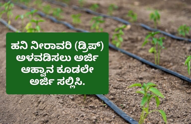 ಹನಿ ನೀರಾವರಿ ಅಳವಡಿಕೆಗೆ ಸಬ್ಸಿಡಿ ಕೂಡಲೇ ಅರ್ಜಿ ಸಲ್ಲಿಸಿ.