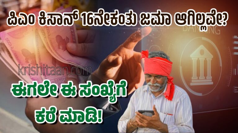 ಪಿಎಂ ಕಿಸಾನ್ 16ನೇಕಂತು ಜಮಾ ಆಗಿಲ್ಲವೇ? ಈಗಲೇ ಈ ಸಂಖ್ಯೆಗೆ ಕರೆ ಮಾಡಿ!