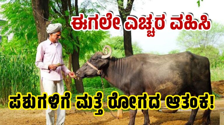 ಪಶುಗಳಿಗೆ ಮತ್ತೆ ರೋಗದ ಆತಂಕ! ಈಗಲೇ ಎಚ್ಚರ ವಹಿಸಿ