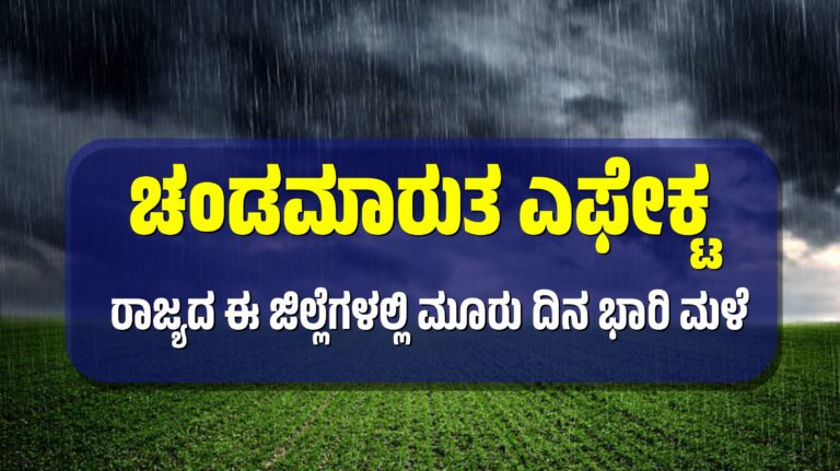 Cyclone effect: ಚಂಡಮಾರುತ ಎಫೇಕ್ಟ! ರಾಜ್ಯದ ಈ ಜಿಲ್ಲೆಗಳಲ್ಲಿ ಇನ್ನೂ ಮೂರು ದಿನ ಭಾರಿ ಮಳೆ