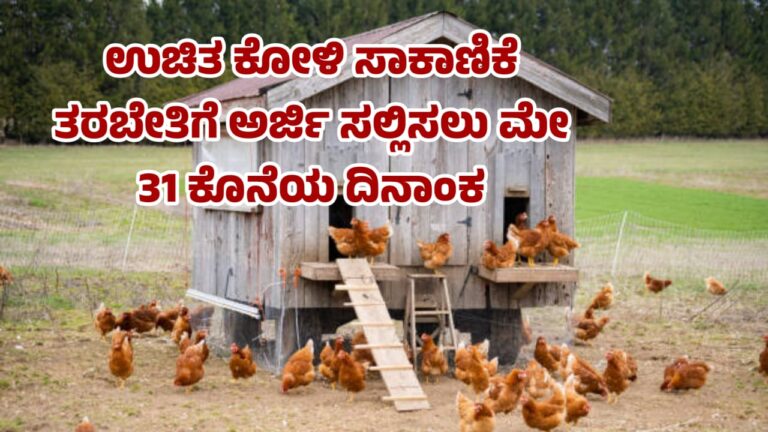ಉಚಿತ ಕೋಳಿ ಸಾಕಾಣಿಕೆ ತರಬೇತಿಗೆ ಅರ್ಜಿ ಸಲ್ಲಿಸಲು ಮೇ 31 ಕೊನೆಯ ದಿನಾಂಕ