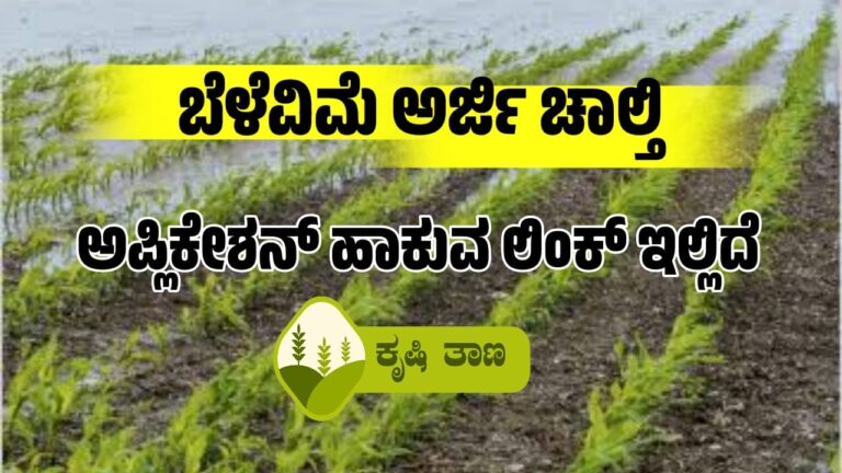 ಬೆಳೆವಿಮೆ ಅರ್ಜಿ ಚಾಲ್ತಿ. ಅಪ್ಲಿಕೇಶನ್ ಹಾಕುವ ಲಿಂಕ್ ಇಲ್ಲಿದೆ.