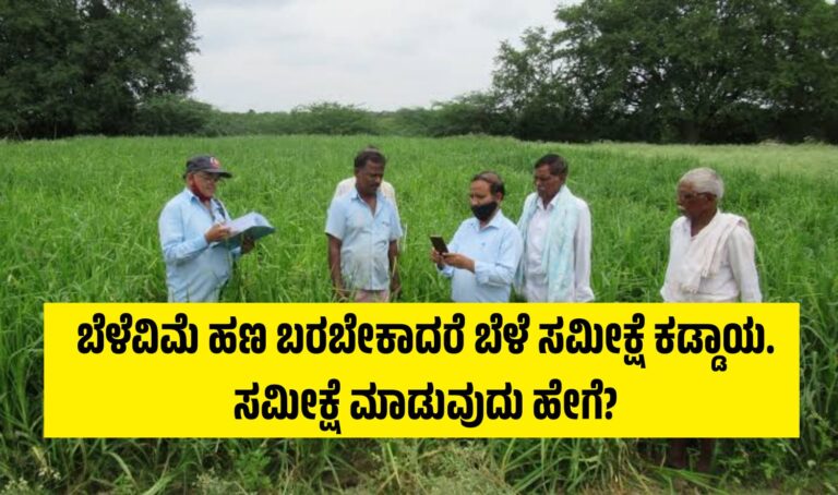 ಬೆಳೆವಿಮೆ ಹಣ ಬರಬೇಕಾದರೆ ಬೆಳೆ ಸಮೀಕ್ಷೆ ಕಡ್ಡಾಯ. ಸಮೀಕ್ಷೆ ಮಾಡುವುದು ಹೇಗೆ?
