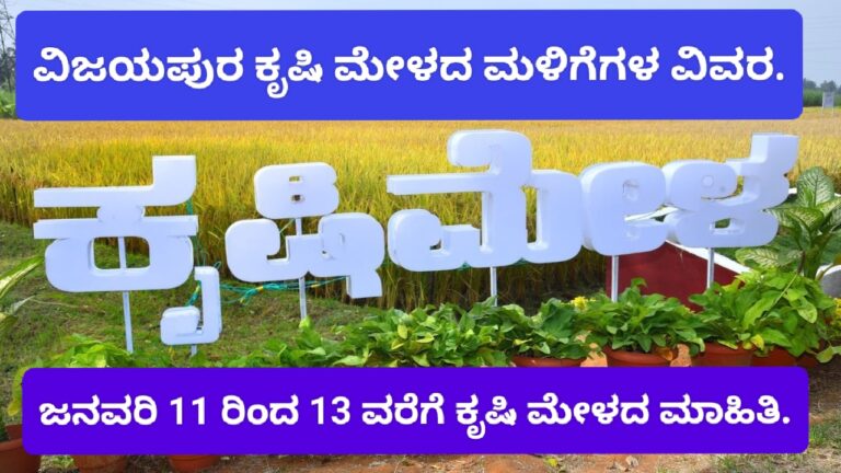 ವಿಜಯಪುರ ಕೃಷಿ ಮೇಳದ ಮಳಿಗೆಗಳ ವಿವರ.
