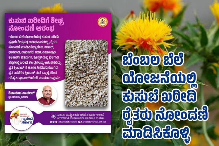 ಬೆಂಬಲ ಬೆಲೆ ಯೋಜನೆಯಲ್ಲಿ ಕುಸುಬೆ ಖರೀದಿ ರೈತರು ನೋಂದಣಿ ಮಾಡಿಸಿಕೊಳ್ಳಿ