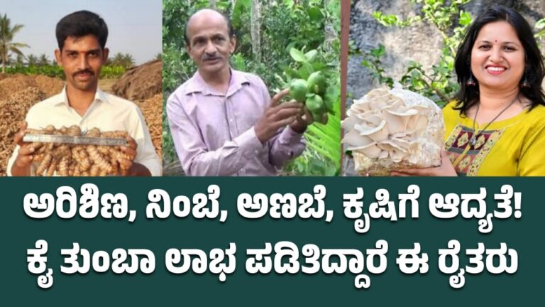 ಅರಿಶಿಣ, ನಿಂಬೆ, ಅಣಬೆ, ಕೃಷಿಗೆ ಆದ್ಯತೆ! ಕೈ ತುಂಬಾ ಲಾಭ ಪಡಿತಿದ್ದಾರೆ ಈ ರೈತರು