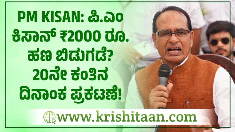 PM KISAN: ಪಿ.ಎಂ ಕಿಸಾನ್ ₹2000 ರೂ. ಹಣ ಬಿಡುಗಡೆ? 20ನೇ ಕಂತಿನ ದಿನಾಂಕ ಪ್ರಕಟಣೆ!