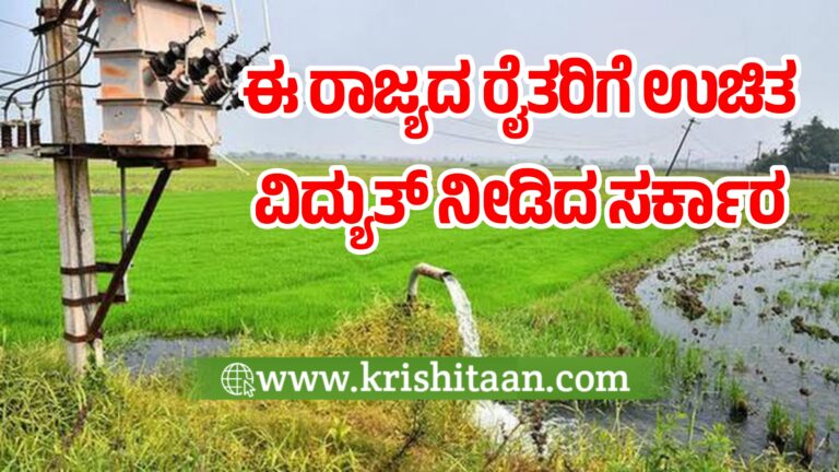 ಈ ರಾಜ್ಯದ ರೈತರಿಗೆ ಉಚಿತ ವಿದ್ಯುತ್ ನೀಡಿದ ಸರ್ಕಾರ