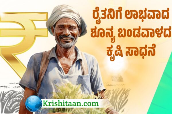 ರೈತನಿಗೆ ಲಾಭವಾದ ಶೂನ್ಯ ಬಂಡವಾಳದ ಕೃಷಿ ಸಾಧನೆ