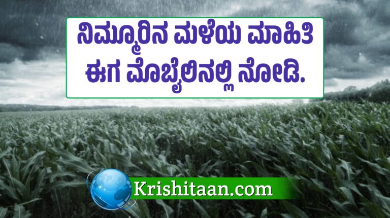 ನಿಮ್ಮೂರಿನ ಮಳೆಯ ಮಾಹಿತಿ ಈಗ ನಿಮ್ಮ ಮೊಬೈಲಿನಲ್ಲಿ ನೋಡಿ.