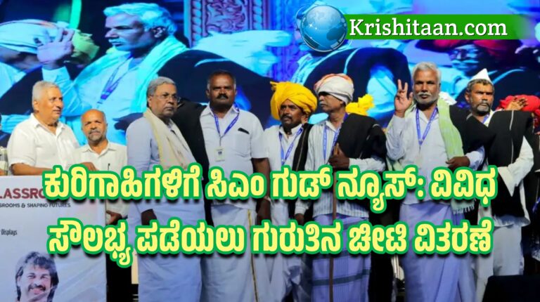 ಕುರಿಗಾಹಿಗಳಿಗೆ ಸಿಎಂ ಗುಡ್ ನ್ಯೂಸ್: ವಿವಿಧ ಸೌಲಭ್ಯ ಪಡೆಯಲು ಗುರುತಿನ ಚೀಟಿ ವಿತರಣೆ
