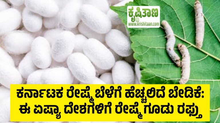 ಕರ್ನಾಟಕ ರೇಷ್ಮೆ ಬೆಳೆಗೆ ಹೆಚ್ಚಲಿದೆ ಬೇಡಿಕೆ: ಈ ಏಷ್ಯಾ ದೇಶಗಳಿಗೆ ರೇಷ್ಮೆ ಗೂಡು ರಫ್ತು