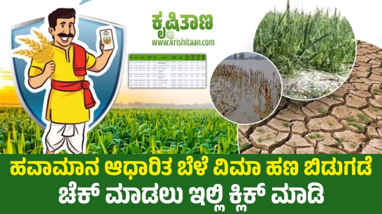 ಹವಾಮಾನ ಆಧಾರಿತ ಬೆಳೆ ವಿಮಾ ಹಣ ಬಿಡುಗಡೆ | ಚೆಕ್ ಮಾಡಲು ಇಲ್ಲಿ ಕ್ಲಿಕ್ ಮಾಡಿ