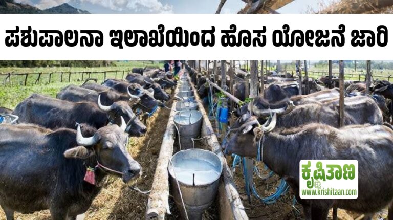 ಪಶುಪಾಲನಾ ಇಲಾಖೆಯಿಂದ ಹೊಸ ಯೋಜನೆ ಜಾರಿ.