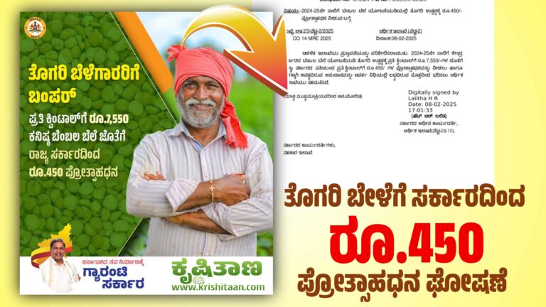 ತೊಗರಿ ಬೇಳೆಗೆ ಸರ್ಕಾರದಿಂದ ರೂ.450 ಪ್ರೋತ್ಸಾಹಧನ ಘೋಷಣೆ