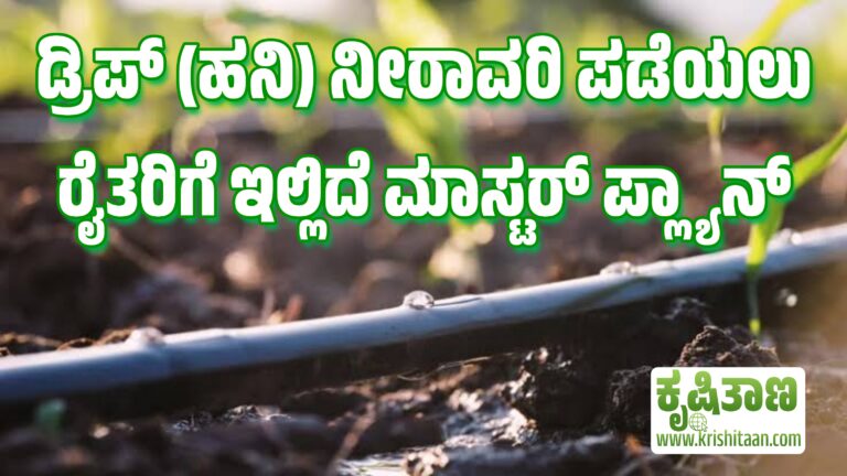 ಡ್ರಿಪ್ (ಹನಿ) ನೀರಾವರಿ ಪಡೆಯಲು ರೈತರಿಗೆ ಇಲ್ಲಿದೆ ಮಾಸ್ಟರ್ ಪ್ಲ್ಯಾನ್