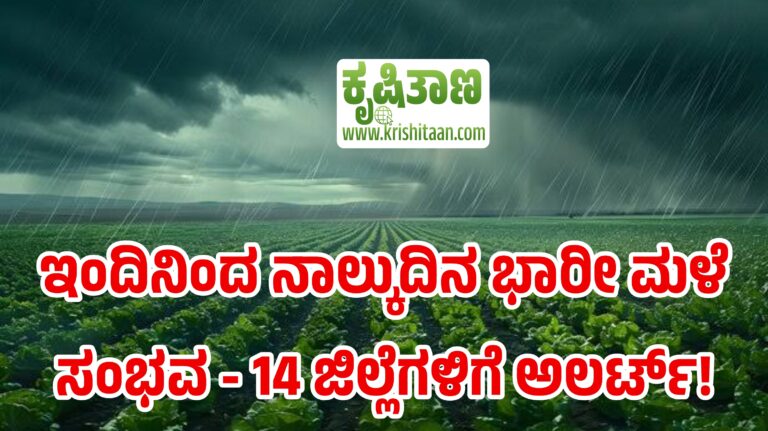 ಇಂದಿನಿಂದ ನಾಲ್ಕುದಿನ ಭಾರೀ ಮಳೆ ಸಂಭವ – 14 ಜಿಲ್ಲೆಗಳಿಗೆ ಅಲರ್ಟ್!