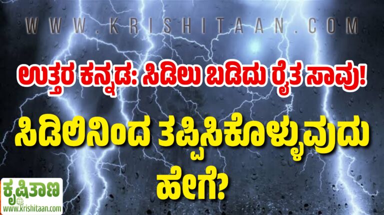ಉತ್ತರ ಕನ್ನಡ: ಸಿಡಿಲು ಬಡಿದು ರೈತ ಸಾವು! ಸಿಡಿಲಿನಿಂದ ತಪ್ಪಿಸಿಕೊಳ್ಳುವುದು ಹೇಗೆ?