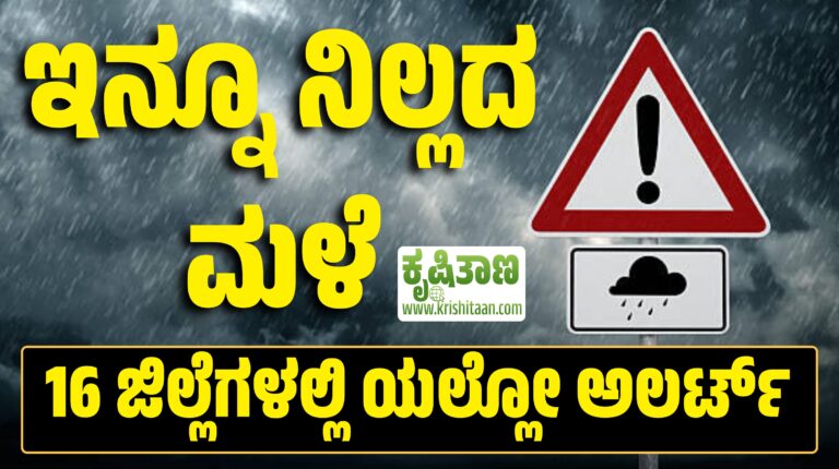 ಇನ್ನೂ ನಿಲ್ಲದ ಮಳೆ 16 ಜಿಲ್ಲೆಗಳಲ್ಲಿ ಯಲ್ಲೋ ಅಲರ್ಟ್!