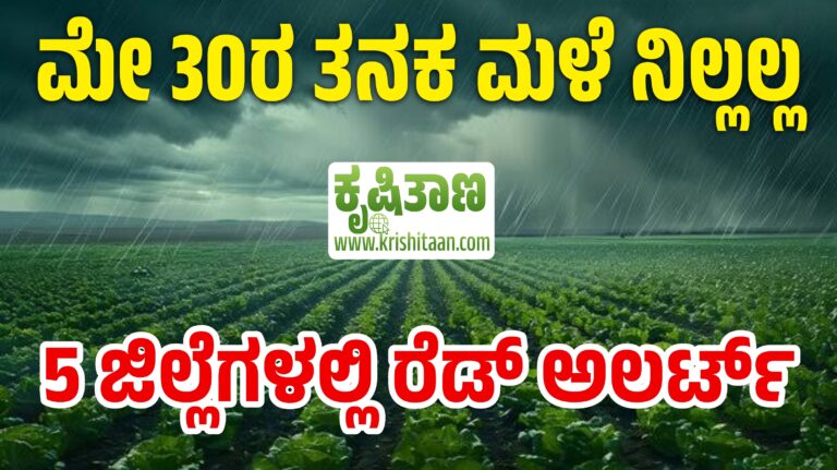 ಮೇ 30ರ ತನಕ ಮಳೆ ನಿಲ್ಲಲ್ಲ. 5 ಜಿಲ್ಲೆಗಳಲ್ಲಿ ರೆಡ್ ಅಲರ್ಟ್.