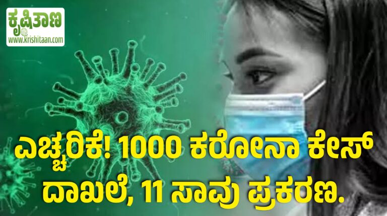 ಎಚ್ಚರಿಕೆ! 1000 ಕರೋನಾ ಕೇಸ್ ದಾಖಲೆ, 11 ಸಾವು ಪ್ರಕರಣ.
