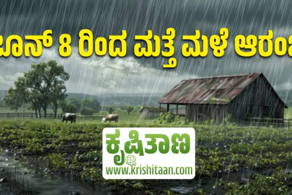 ಜೂನ್ 8 ರಿಂದ ಮತ್ತೆ ಮಳೆ ಆರಂಭ