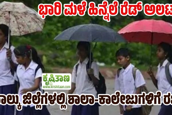 ಭಾರಿ ಮಳೆ ಹಿನ್ನೆಲೆ ರೆಡ್ ಅಲರ್ಟ್, ನಾಲ್ಕು ಜಿಲ್ಲೆಗಳಲ್ಲಿ ಶಾಲಾ-ಕಾಲೇಜುಗಳಿಗೆ ರಜೆ