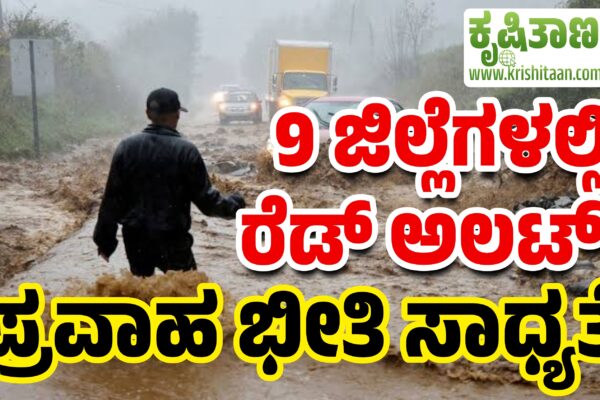 9 ಜಿಲ್ಲೆಗಳಲ್ಲಿ ರೆಡ್ ಅಲರ್ಟ್. ಪ್ರವಾಹ ಭೀತಿ ಸಾಧ್ಯತೆ.