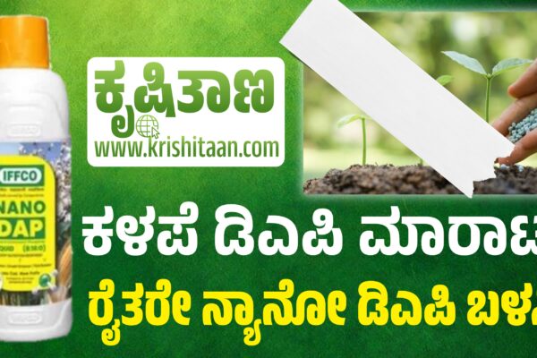 ಕಳಪೆ ಡಿಎಪಿ ಮಾರಾಟ, ರೈತರೇ ನ್ಯಾನೋ ಡಿಎಪಿ ಬಳಸಿ