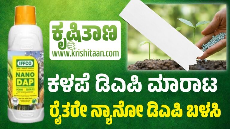 ಕಳಪೆ ಡಿಎಪಿ ಮಾರಾಟ, ರೈತರೇ ನ್ಯಾನೋ ಡಿಎಪಿ ಬಳಸಿ