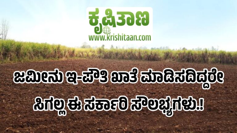 ಜಮೀನು ‘ಇ-ಪೌತಿ ಖಾತೆ’ ಮಾಡಿಸದಿದ್ದರೇ ಸಿಗಲ್ಲ ಈ ಸರ್ಕಾರಿ ಸೌಲಭ್ಯಗಳು.!