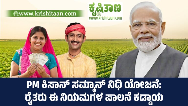 PM ಕಿಸಾನ್ ಸಮ್ಮಾನ್ ನಿಧಿ ಯೋಜನೆ: ರೈತರು ಈ ನಿಯಮಗಳ ಪಾಲನೆ ಕಡ್ಡಾಯ