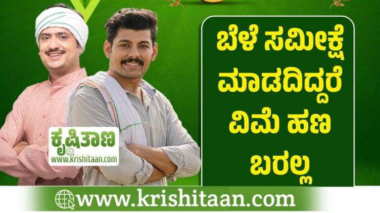 ಬೆಳೆ ಸಮೀಕ್ಷೆ ಮಾಡದಿದ್ದರೆ ವಿಮೆ ಹಣ ಬರಲ್ಲ