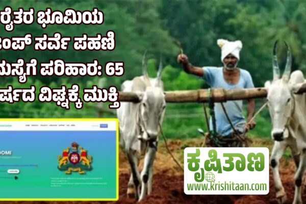 ರೈತರ ಭೂಮಿಯ ಜಂಪ್ ಸರ್ವೆ ಪಹಣಿ ಸಮಸ್ಯೆಗೆ ಪರಿಹಾರ: 65 ವರ್ಷದ ವಿಘ್ನಕ್ಕೆ ಮುಕ್ತಿ