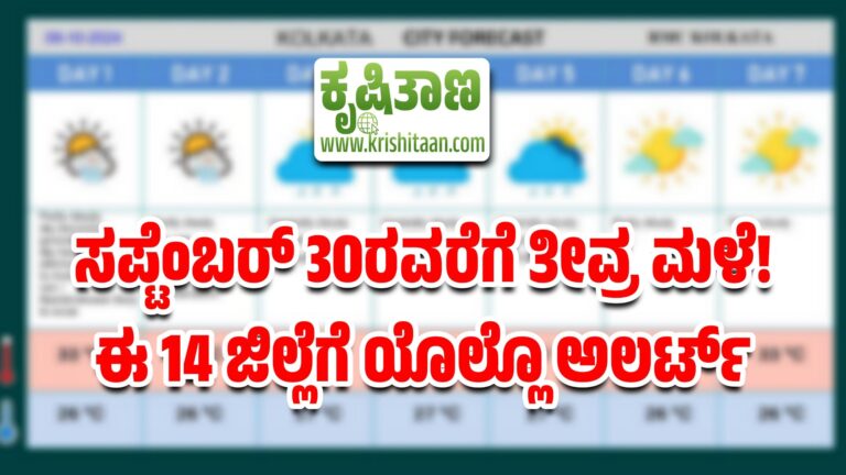ಸಪ್ಟೆಂಬರ್ 30ರವರೆಗೆ ತೀವ್ರ ಮಳೆ! ಈ 14 ಜಿಲ್ಲೆಗೆ ಯೊಲ್ಲೊ ಅಲರ್ಟ್