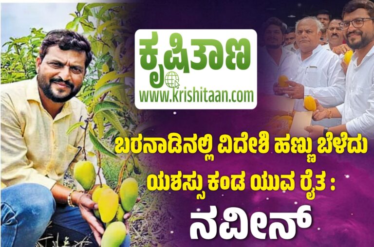 ಬರನಾಡಿನಲ್ಲಿ ವಿದೇಶಿ ಹಣ್ಣು ಬೆಳೆದು ಯಶಸ್ಸು ಕಂಡ ಯುವ ರೈತ : ನವೀನ್