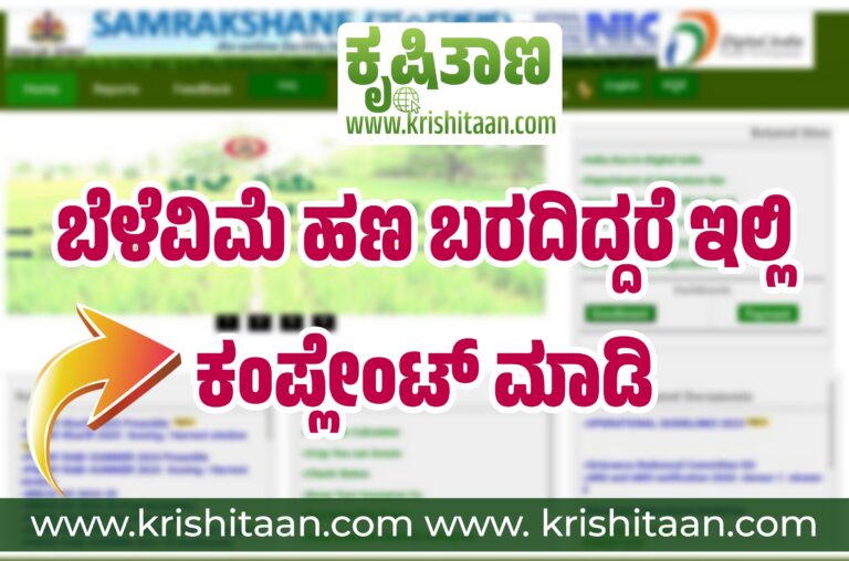 ಬೆಳೆವಿಮೆ ಹಣ ಬರದಿದ್ದರೆ ಇಲ್ಲಿ  ಕಂಪ್ಲೇಂಟ್ ಮಾಡಿ