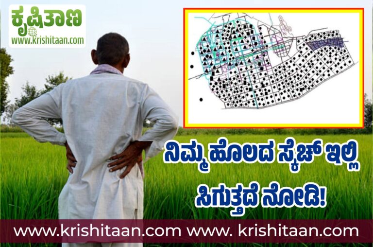 ನಿಮ್ಮ ಹೊಲದ ಸ್ಕೆಚ್ ಇಲ್ಲಿ ಸಿಗುತ್ತದೆ ನೋಡಿ!