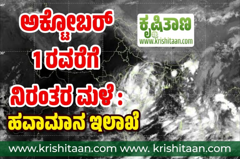ಅಕ್ಟೋಬರ್ 1 ರವರೆಗೆ ನಿರಂತರ ಮಳೆ‌ : ಹವಾಮಾನ ಇಲಾಖೆ